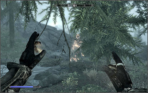 After locating the target it will turn out that you're not meant to fight any sort of monster, but kill the White Stag - Ill Met By Moonlight - p. 1 - Daedric quests - The Elder Scrolls V: Skyrim - Game Guide and Walkthrough