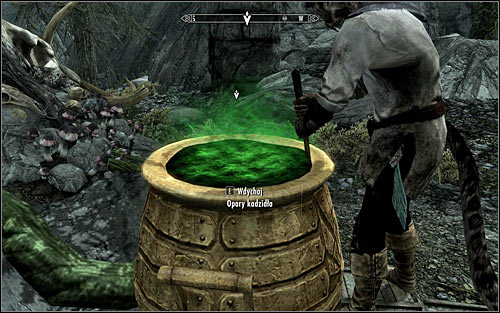 Wait for the Khajiit to throw the ingredients into the cauldron and stir them properly - The Only Cure - p. 1 - Daedric quests - The Elder Scrolls V: Skyrim - Game Guide and Walkthrough
