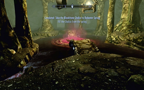 Using it you will be able to easily open the door leading to the well cave - The Bloodstone Chalice - p. 2 - Vampire Lord path - The Elder Scrolls V: Skyrim - Dawnguard - Game Guide and Walkthrough