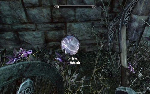 The first one can be found in the bushes behind the fence (to the right of the dial) - Chasing Echoes - p. 1 - Vampire Lord path - The Elder Scrolls V: Skyrim - Dawnguard - Game Guide and Walkthrough
