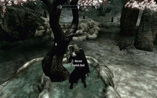 After obtaining it, turn around and use it on the tree behind you - Unseen Visions - Dawnguard path - The Elder Scrolls V: Skyrim - Dawnguard - Game Guide and Walkthrough