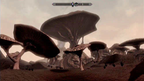 Neloth lives in the biggest of the mushrooms - the one in the middle of the courtyard - Talk to Neloth - Main story mode - Path of Knowledge - The Elder Scrolls V: Skyrim - Dragonborn - Game Guide and Walkthrough