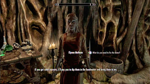Notice - Healing a House - Side missions - Tel Mithryn - The Elder Scrolls V: Skyrim - Dragonborn - Game Guide and Walkthrough