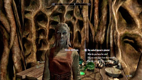Return to the apothecary and tell Elynea that everything's done - Healing a House - Side missions - Tel Mithryn - The Elder Scrolls V: Skyrim - Dragonborn - Game Guide and Walkthrough
