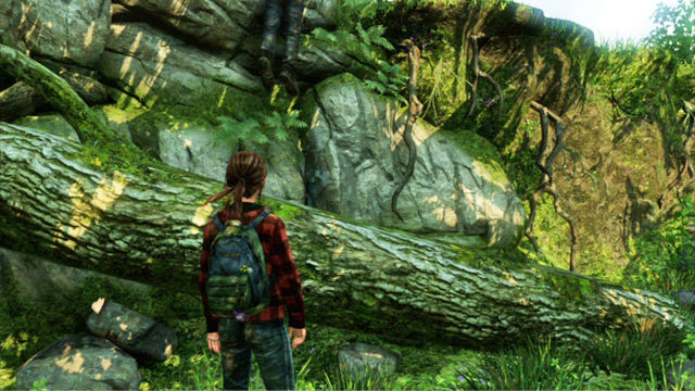 Once you reach the tall rocks, wait for Joel to climb up and take his help - Epilogue - Jackson - The Last of Us - Game Guide and Walkthrough