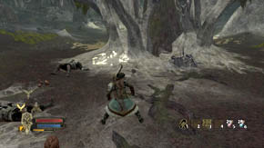 Near the entrance to the glade there is a heap of items, while on the right there's a flower - Web-Shrouded Woods - Chapter 5 - The Lord of the Rings: War in the North - Game Guide and Walkthrough