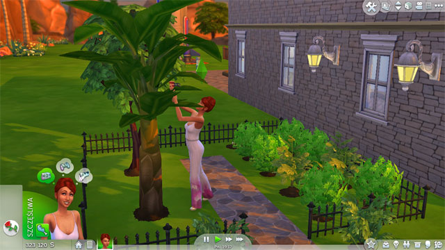 When the time will come you can choose the Collect the whole crop option and you will receive everything that your plants have born (the entire crop will appear in your inventory) - Gardening - Skills - The Sims 4 - Game Guide and Walkthrough