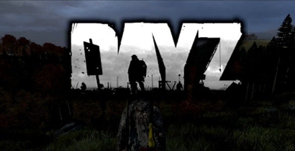 DayZ