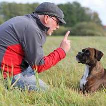  A man training his dog