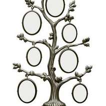 Tree with rings decoration or family tree