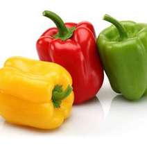 Yellow, red and green pepper vegetables