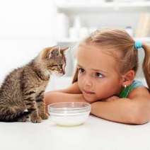 Girl with a cat over bowl of milk