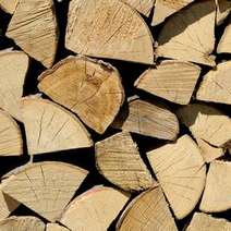 Wood logs