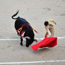  Toreador with a bull