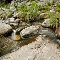  Stream and stones