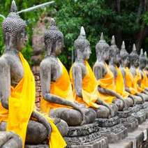  Statues of Buddhas 