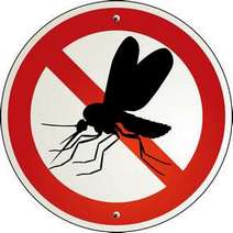  Ban of insects sign
