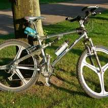  A bike leaned against a tree