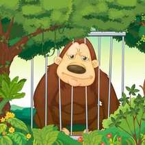  Cartoon of a monkey in a cage