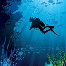  Diver under the water