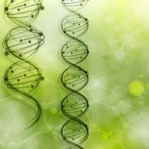  DNA spirals