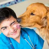   Dog licking vet's cheek