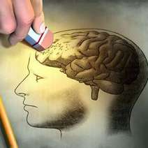  Hand rubbing drawing of human brain