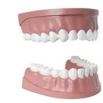  Denture