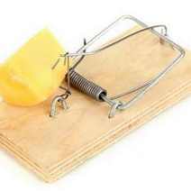  A mouse trap with cheese