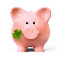  Pig holding a four leaf clover