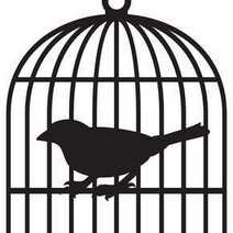 A bird in a cage 