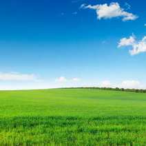  Green landscape and clear blue sky