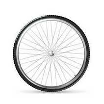 A bike wheel