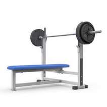  A bodybuilding bench