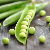 Peas in a teat 