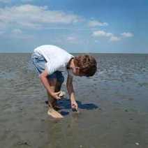  A boy picking shells on the beach