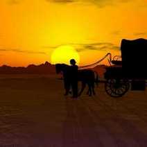 A carriage at sunset