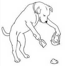A dog cleaning its poo