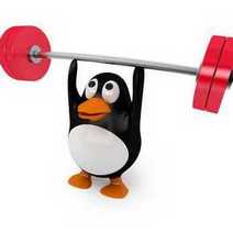 A little penguin lifting weights