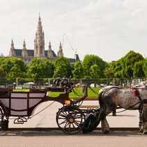 A horse and carriage with a castle in the background