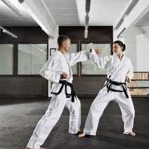 Two guys fighting karate