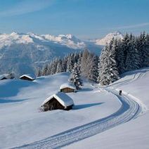 A road and houses in winter covered with snow