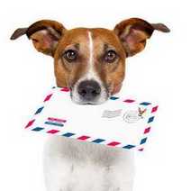 A dog holding an envelope