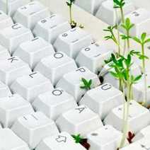 Keyboard keys with a small plant