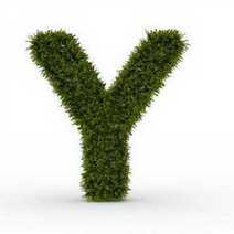A green letter Y made of grass