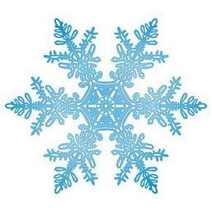  Snow flake