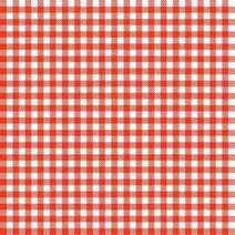 Checked red and white table cloth