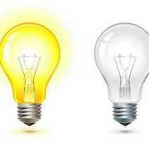  Yellow and white bulb
