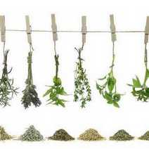  Herbs hanging on a rope