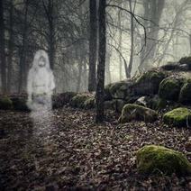  A ghost figure in the wood